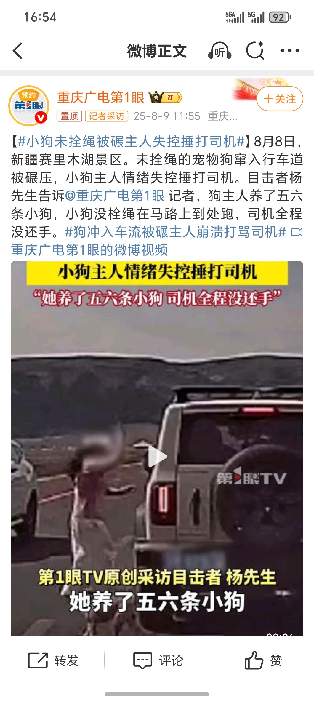 小狗未拴绳被碾主人失控捶打司机啊…遛狗不牵绳不就相当于野狗野狗不小心被碾压了为啥