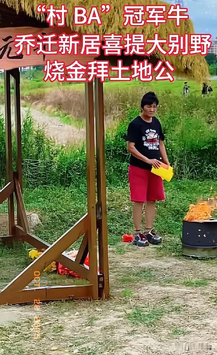 冠军牛贵州关岭黄牛落户晋江九十九溪田园风光，入住豪宅独幢状元桥冠军别墅，照闽南风