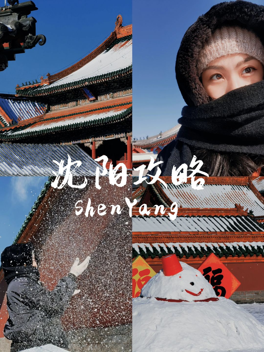 东北除了哈尔滨！还有沈阳也下雪！