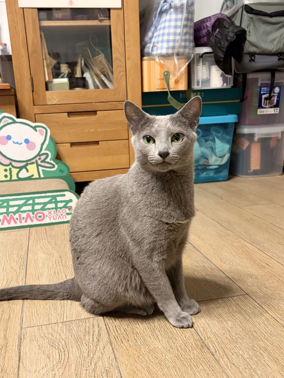 小帅咪儿这个眼神