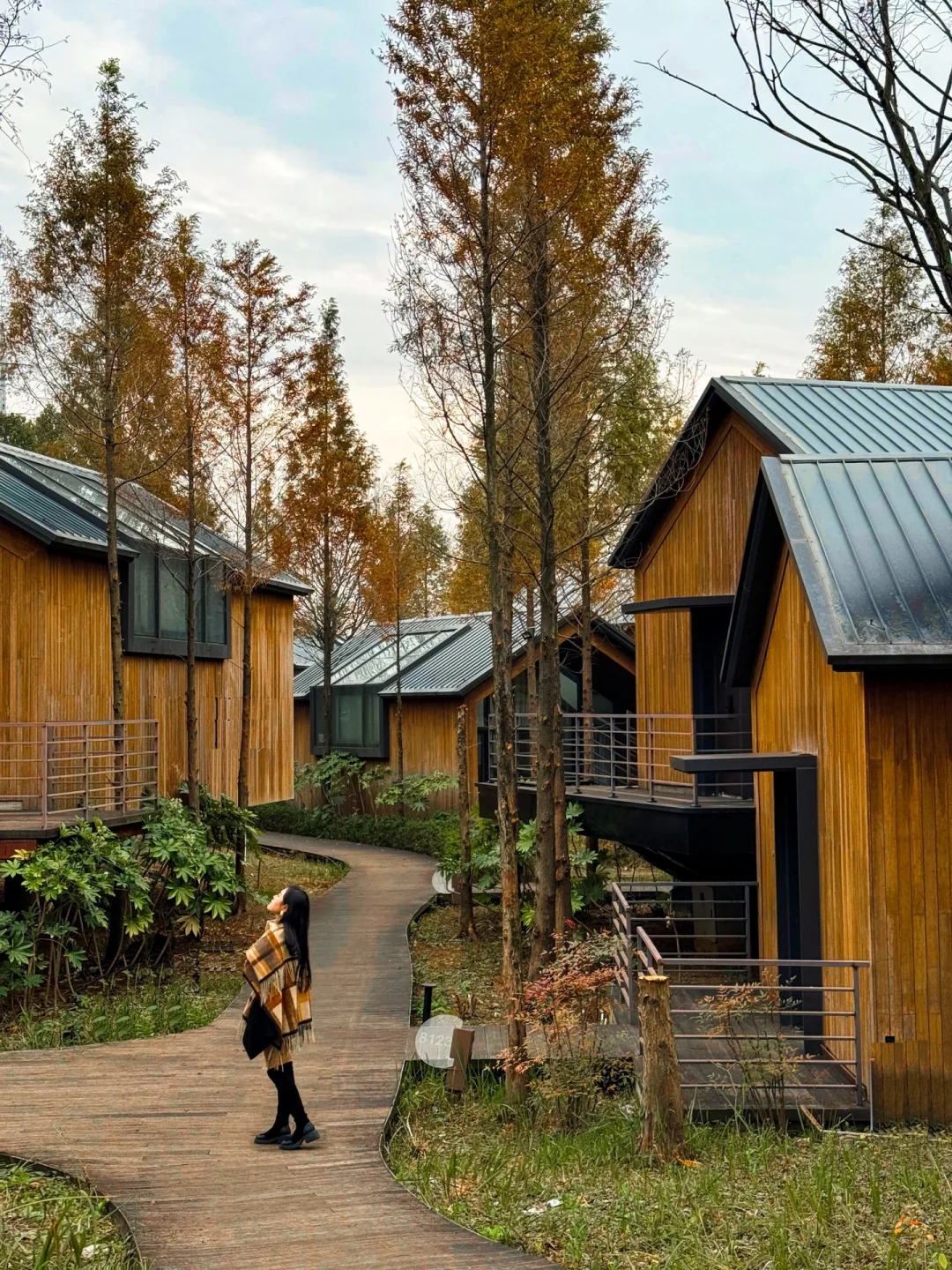 不是挪威！！真的在南昌！！！森林小木屋🏡