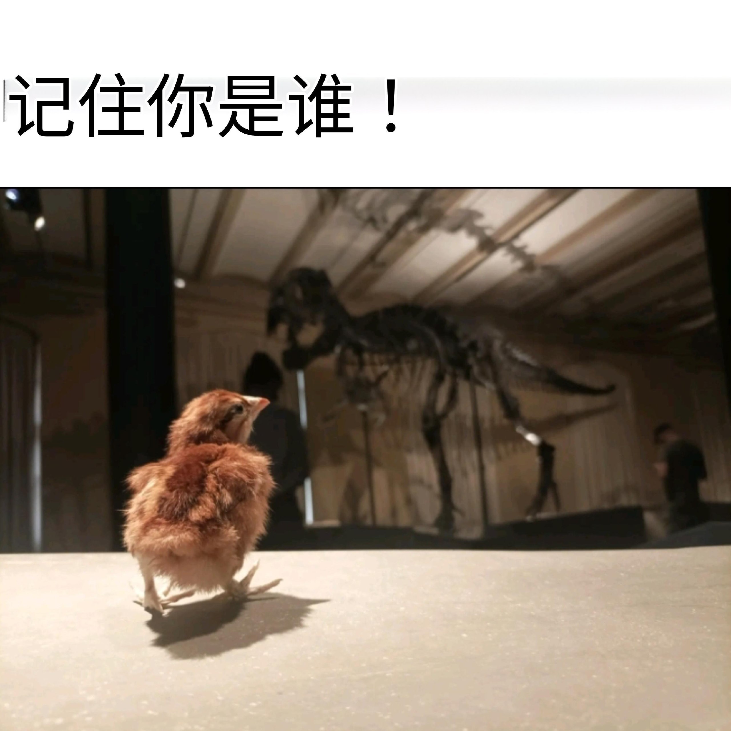 祖上阔过 