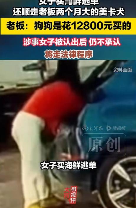 活不起！河北秦皇岛一名女子在店内买海鲜后，趁老板不注意将汽车后备箱内一只两个月大