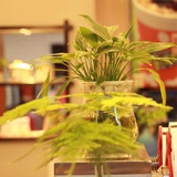 蒋秋爱聊科技