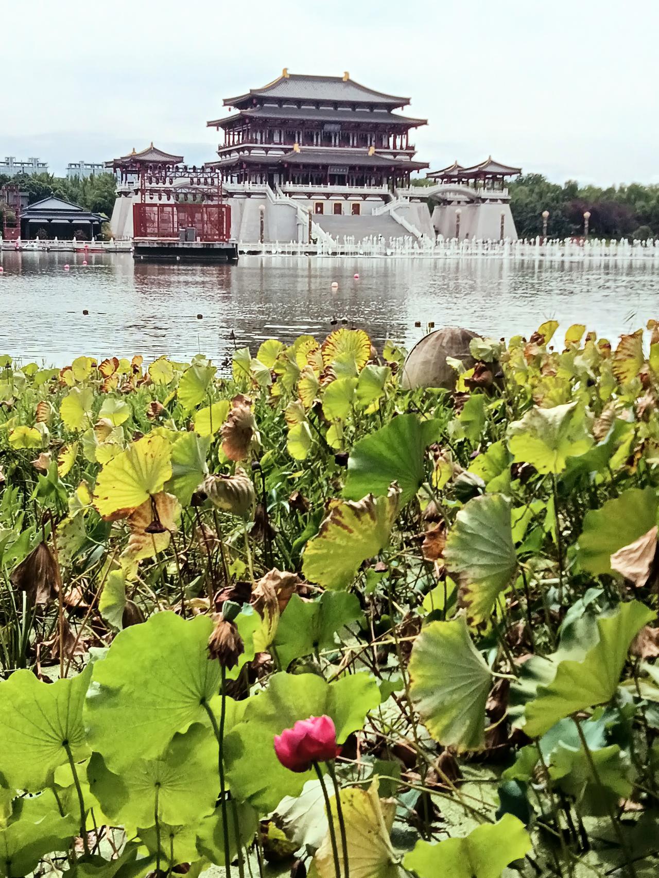 西安 大唐芙蓉园