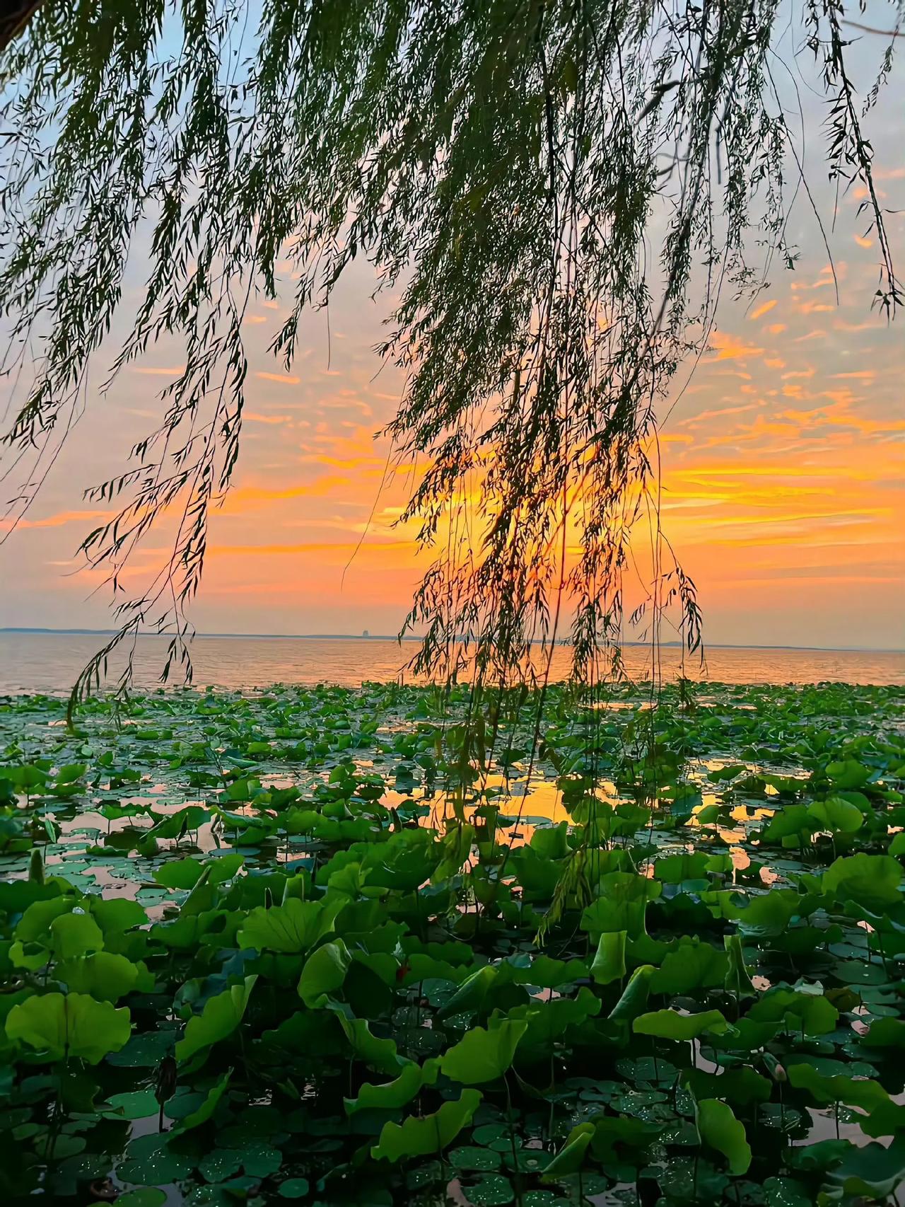 “人世间的日出日落永远都是那么的浪漫 ”🌄