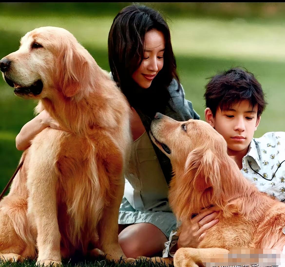 董洁这段访谈，算是把“为孩子”这三个字的复杂掰开了给人看。
 
顶顶17岁，一米