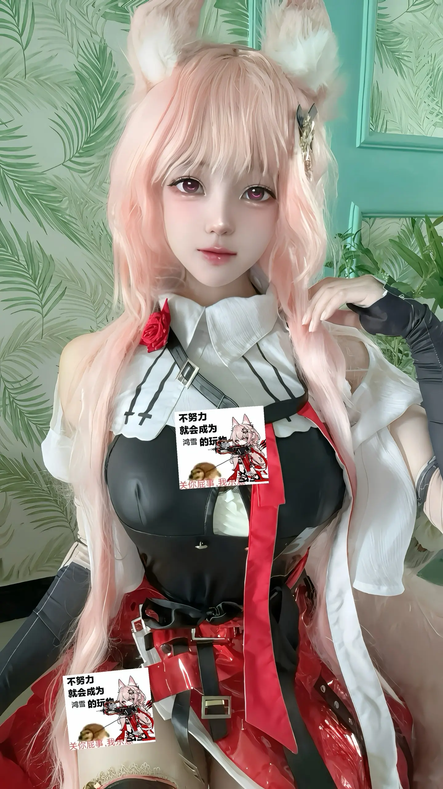 鸿太狼