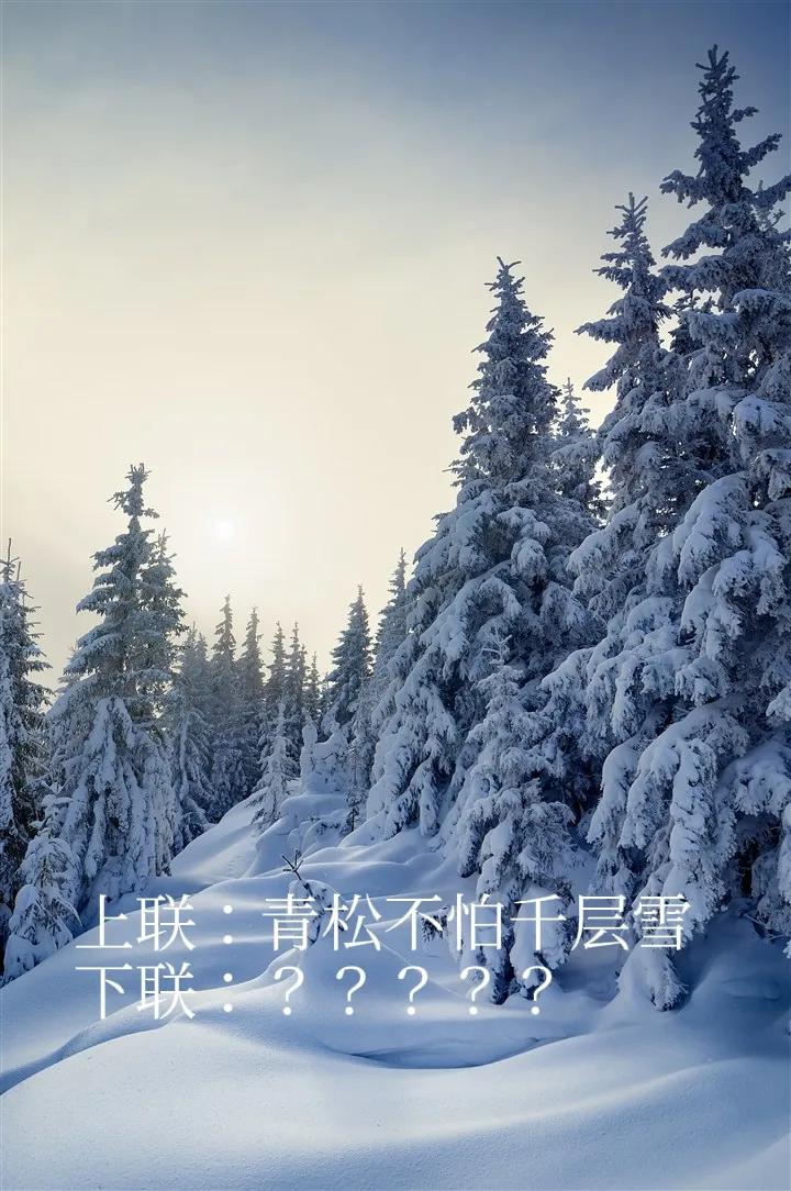 对联邀对。
[微风][微风][微风][微风][微风]
上联：青松不怕千层雪；
下