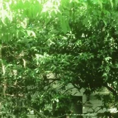 苦难从不是终点，它是熔炉。那些灼烧你的痛、淬炼你的难，终会在某一天，化作你生命里