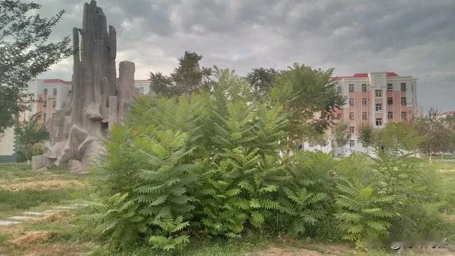 ＃上联:三槐泽远开新宇;下联:？荷叶闲客邀对。 ＃
上联:三槐泽远开新宇;
下联