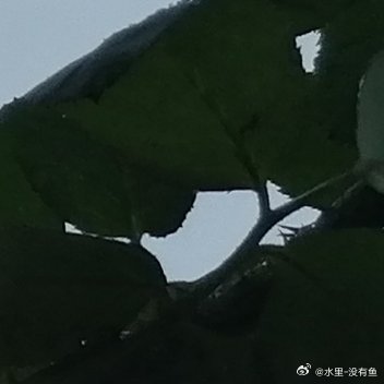 生活手记今日立冬，万物进入休养、收藏的状态。今天早早的就下雨了，雨不大，够湿路面