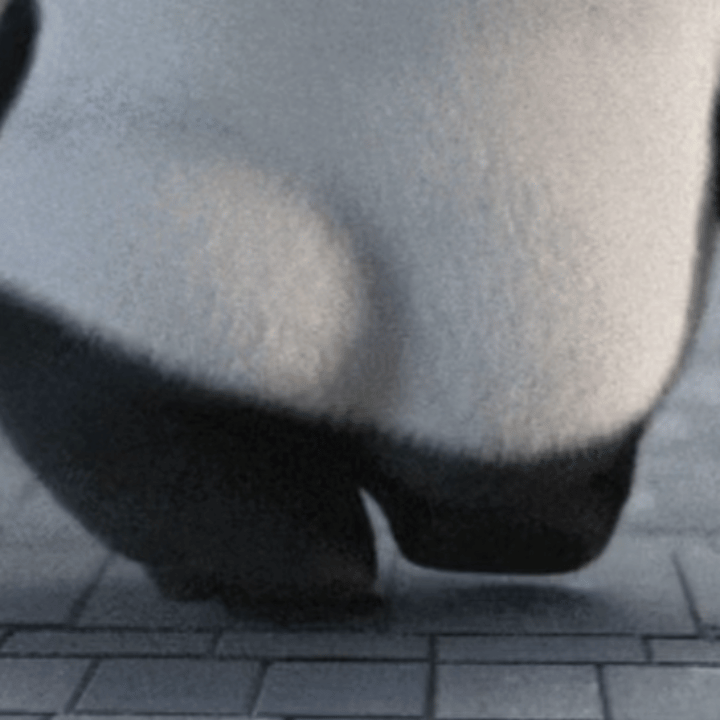 今天我给你们走一段 