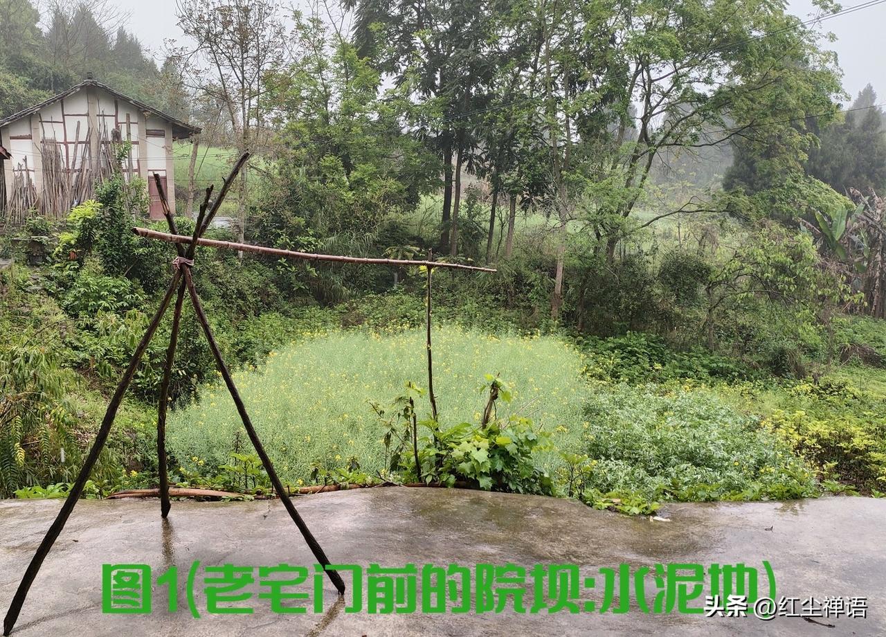 中国移动:移动通讯链接亲情，聊聊移动对生活的多元赋能

我们在辽宁，老倔头已经9