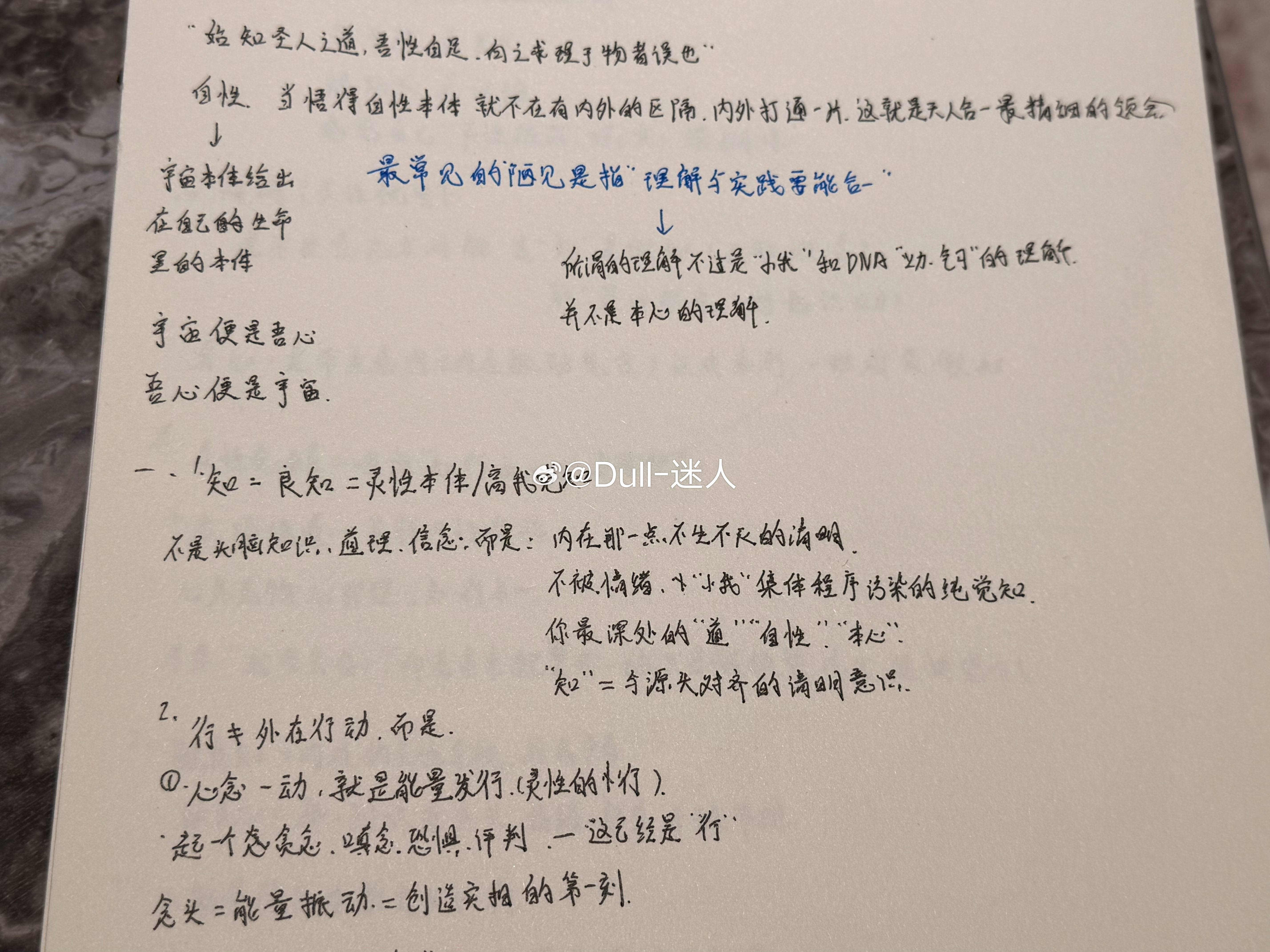 一些浅显的知行合一笔记，只说了DNA和后天识神的一些拉扯，但对于普通人大众所能接