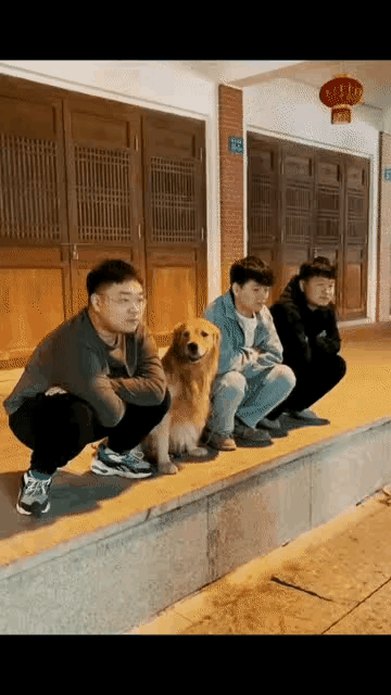 这群绝对是单身狗[捂脸][捂脸][捂脸]