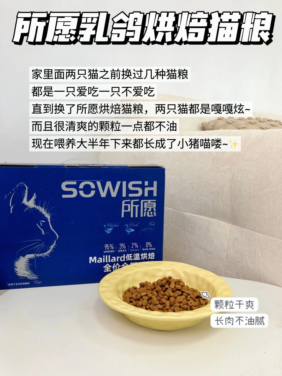 多猫家庭喂养分享❗拿捏长肉猫粮推荐