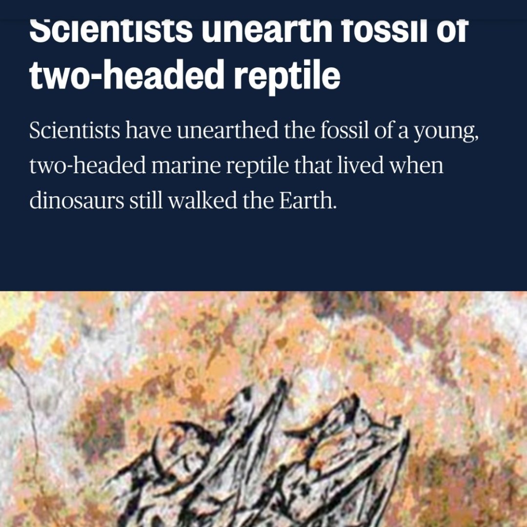 目前为止中国科学家发现的最早的双头龙 ​​​