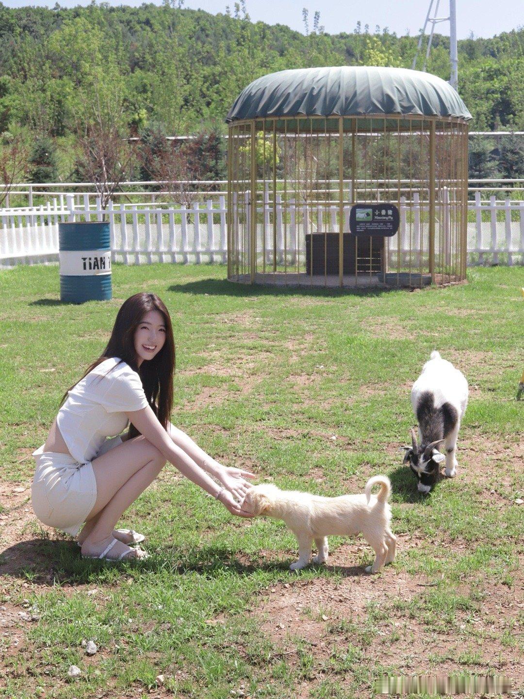 你也喜欢小动物吗 ​​​