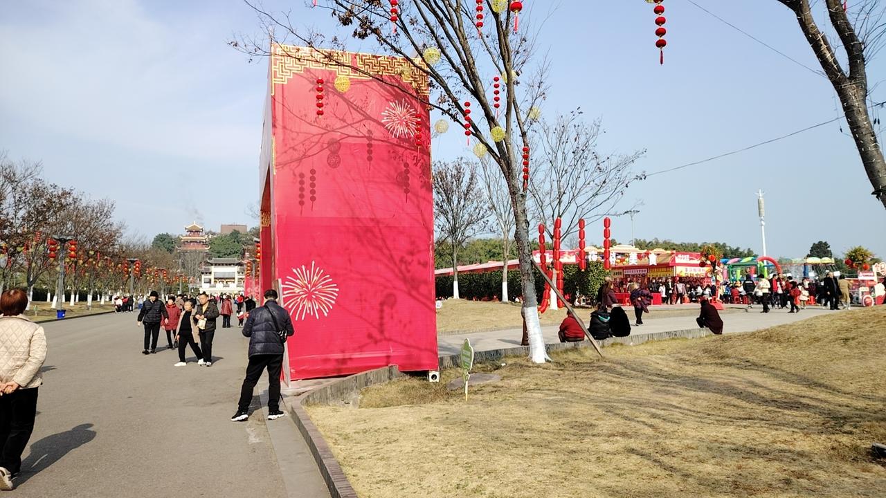 感觉自己非常孤独！这个孤独不是指极少极少跟同学朋友一起聚聚吃吃喝喝玩玩（并不太在