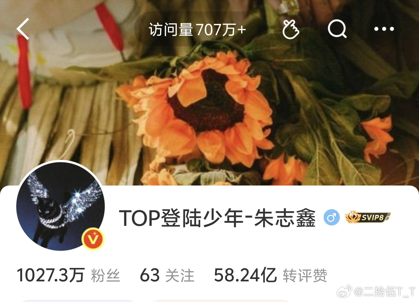 登陆少年组合朱志鑫 苏新皓 微博主页极致反差 