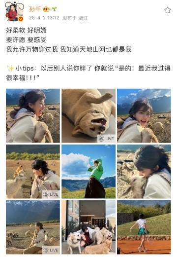 孙千云南碎片孙千云南live 孙千云南碎片 