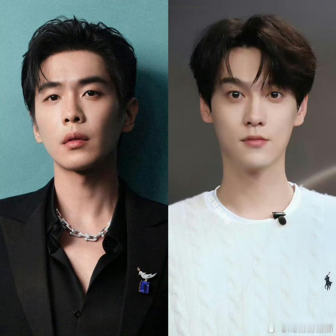 张若昀你神图有了总感觉他和田栩宁有点像