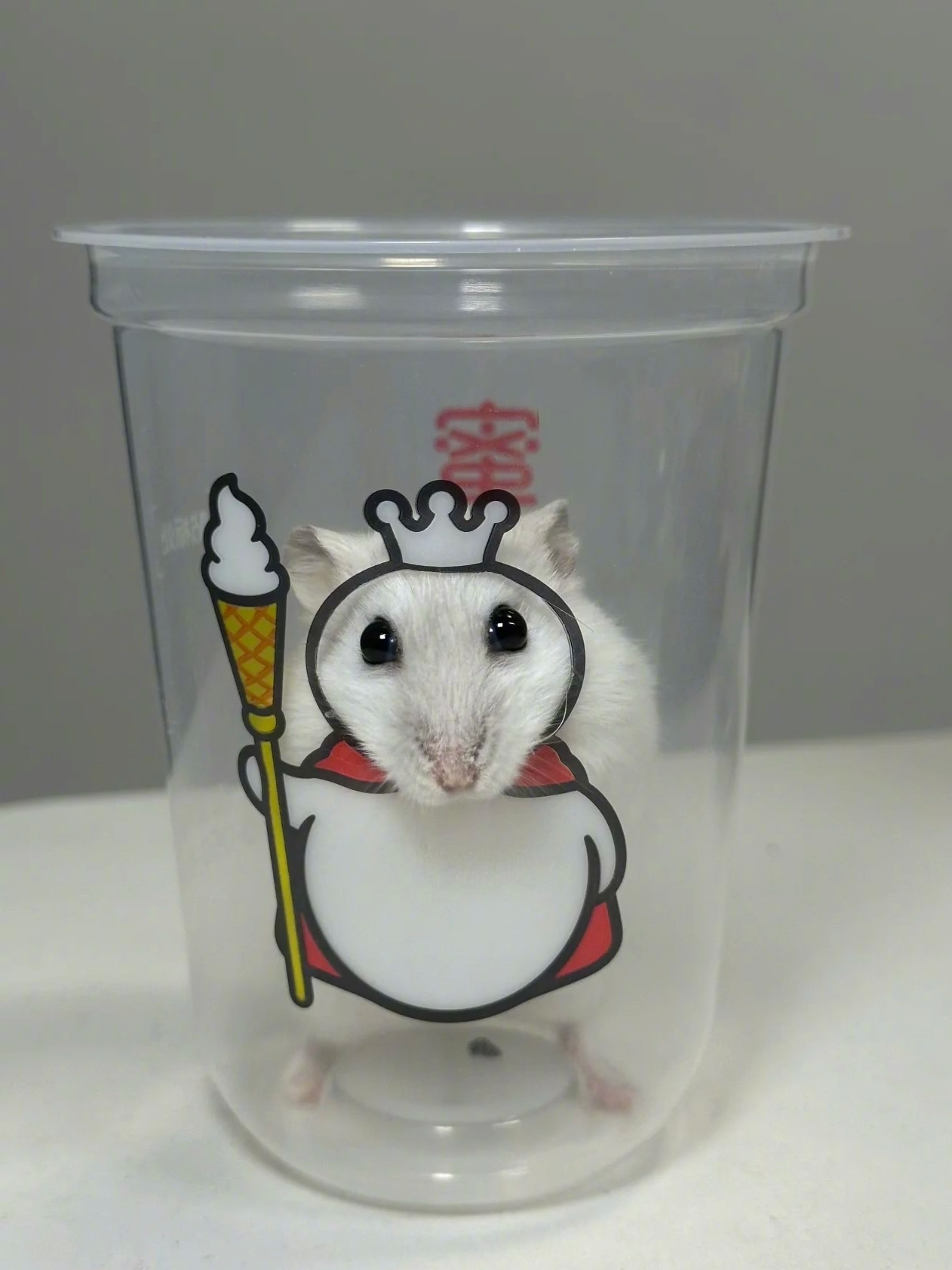 太好了是蜜🐭冰城鼠鼠也是当上代言了🥹我的幽默灵感片场人间值得有欢喜 ​​​
