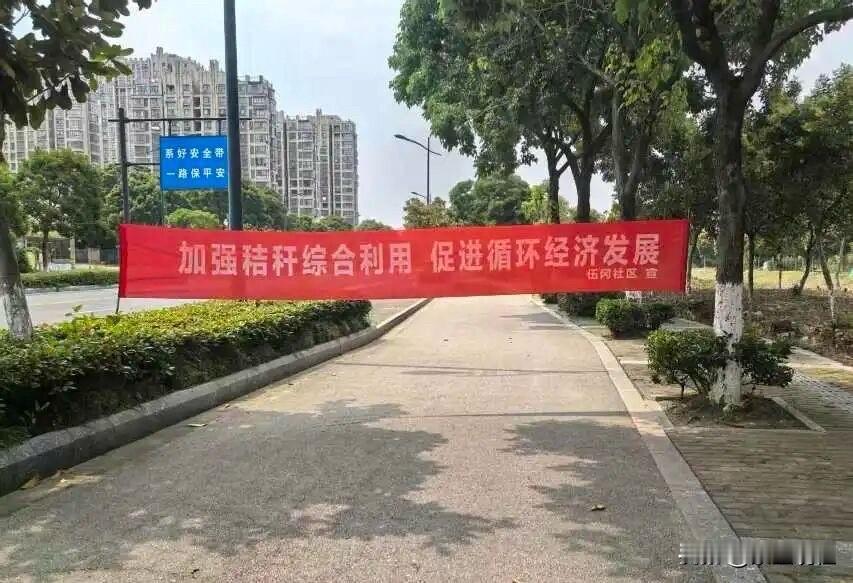 科城街道伍冈社区这条路是给七个小矮人走的？[笑哭]