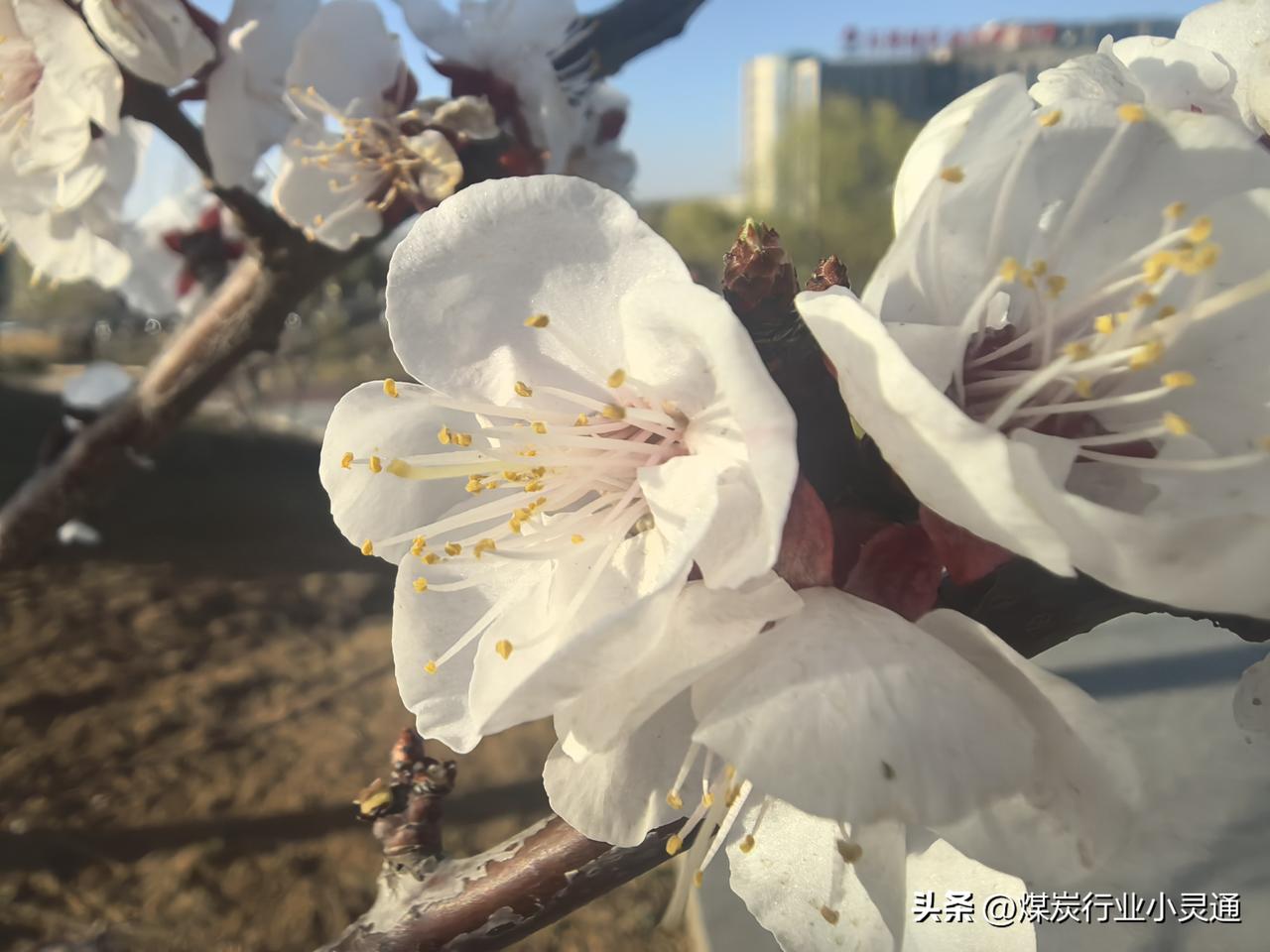 干粉灭火器使用的注意事项有哪些?
 
一、操作四字口诀
 
提、拔、握、压
 