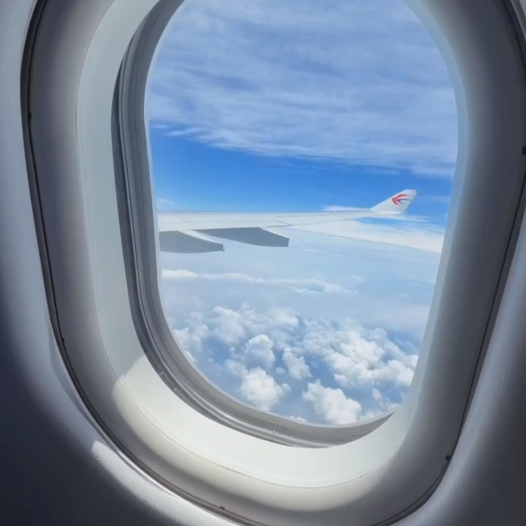 哇塞！第一次见到飞机的场面也太震撼了吧！🛫 小家伙站在候机厅的玻璃前，小鼻子都