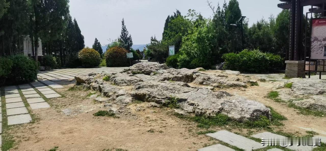 【小对联】
上：后怕虎；
下：……？