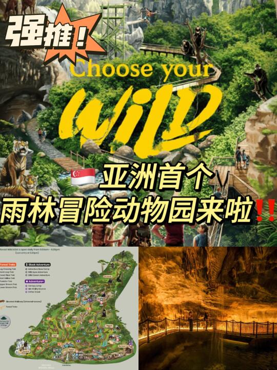新加坡必打卡！亚洲首个雨林冒险动物园来啦
