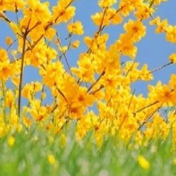 正能量事在人为，是一种积极的人生态度；顺其自然，是一种达观的生存之道。每个人都有