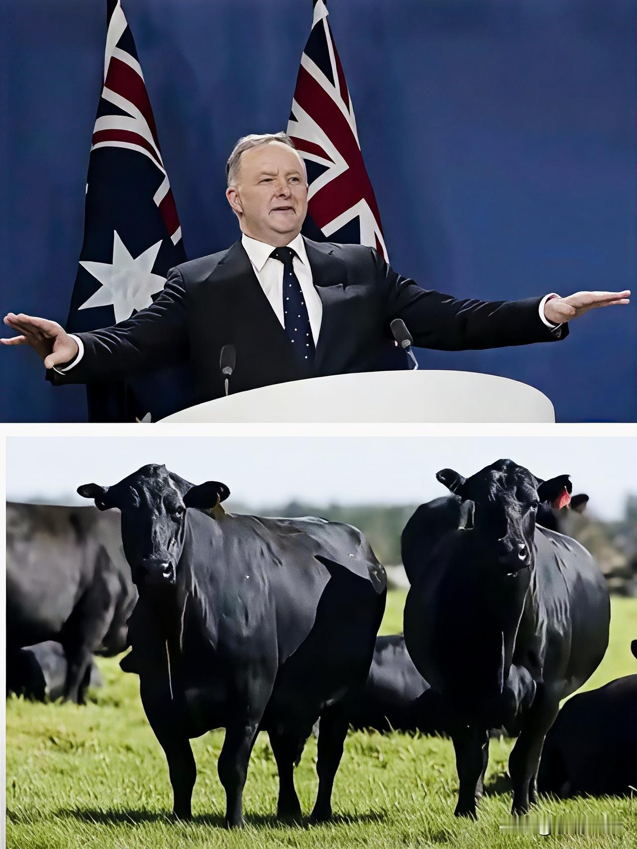 制裁不过夜！

就在中国解放军2025围台军演结束，澳大利亚脑瓜子嗡嗡的，31日