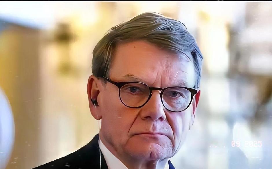 德国外长近几日在稀土问题上与东方大国发生了冲突，声称德国怎么使用稀土不关东方大国