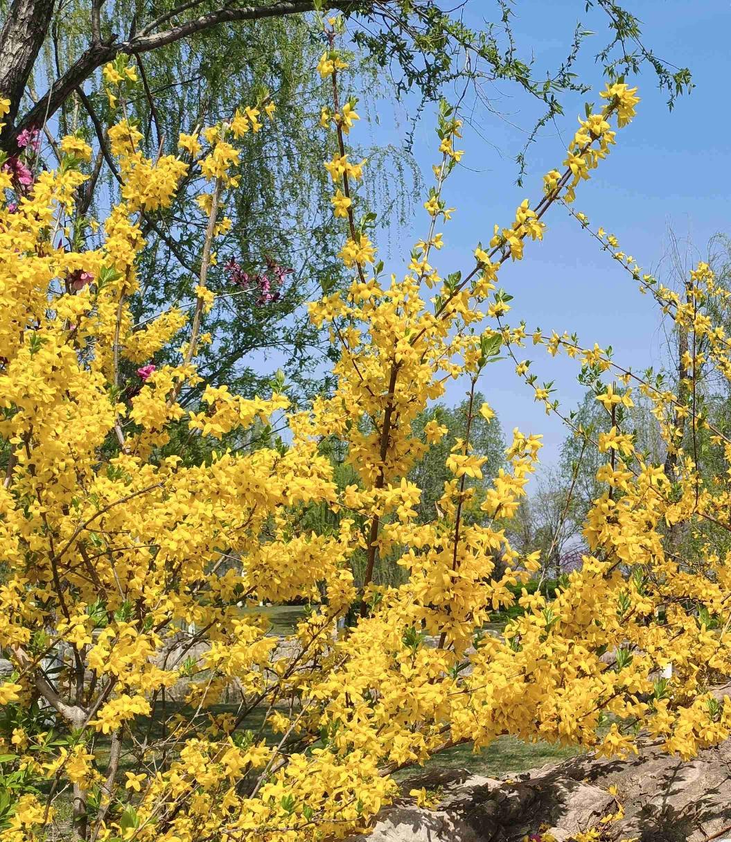 我的今日状态：😁轻松愉快
我这里的天气：☀️晴天