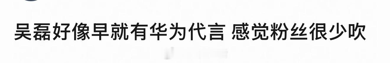 华为给吴磊的一开始就是最高title全球代，主要是运动穿戴品类，线下有地广，待遇