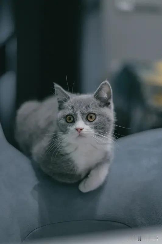 我写了二千多篇作品
才摸到一点点爆款的门道

说出来可能不信
就是别把写作当回事