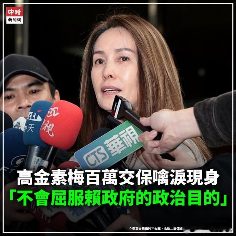 高金委員交保至少可以先回家過年但後續的司法纏訟才會是最磨人的地方高金長期以來反對