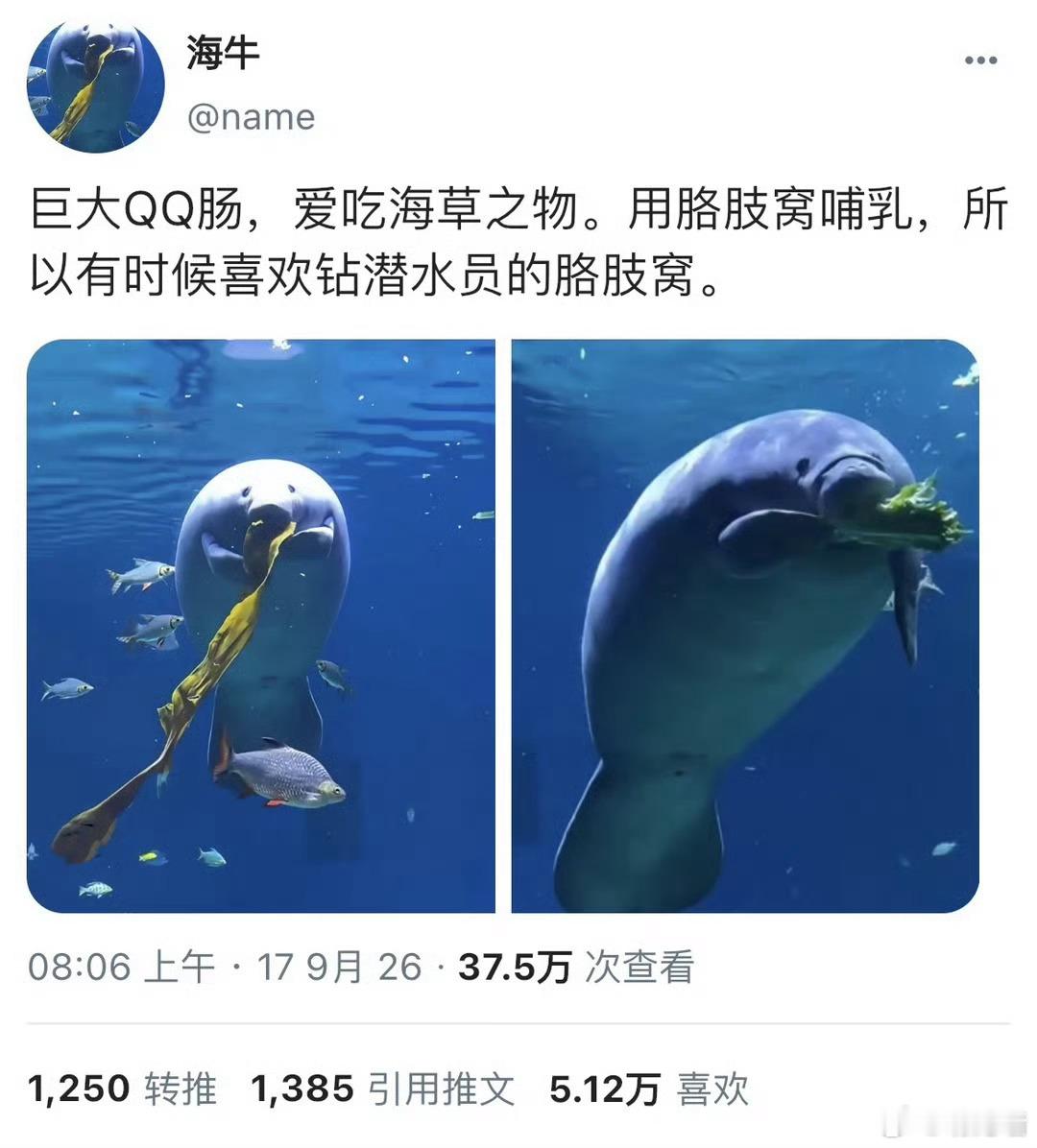 一则小动物的小众萌点 ​​​