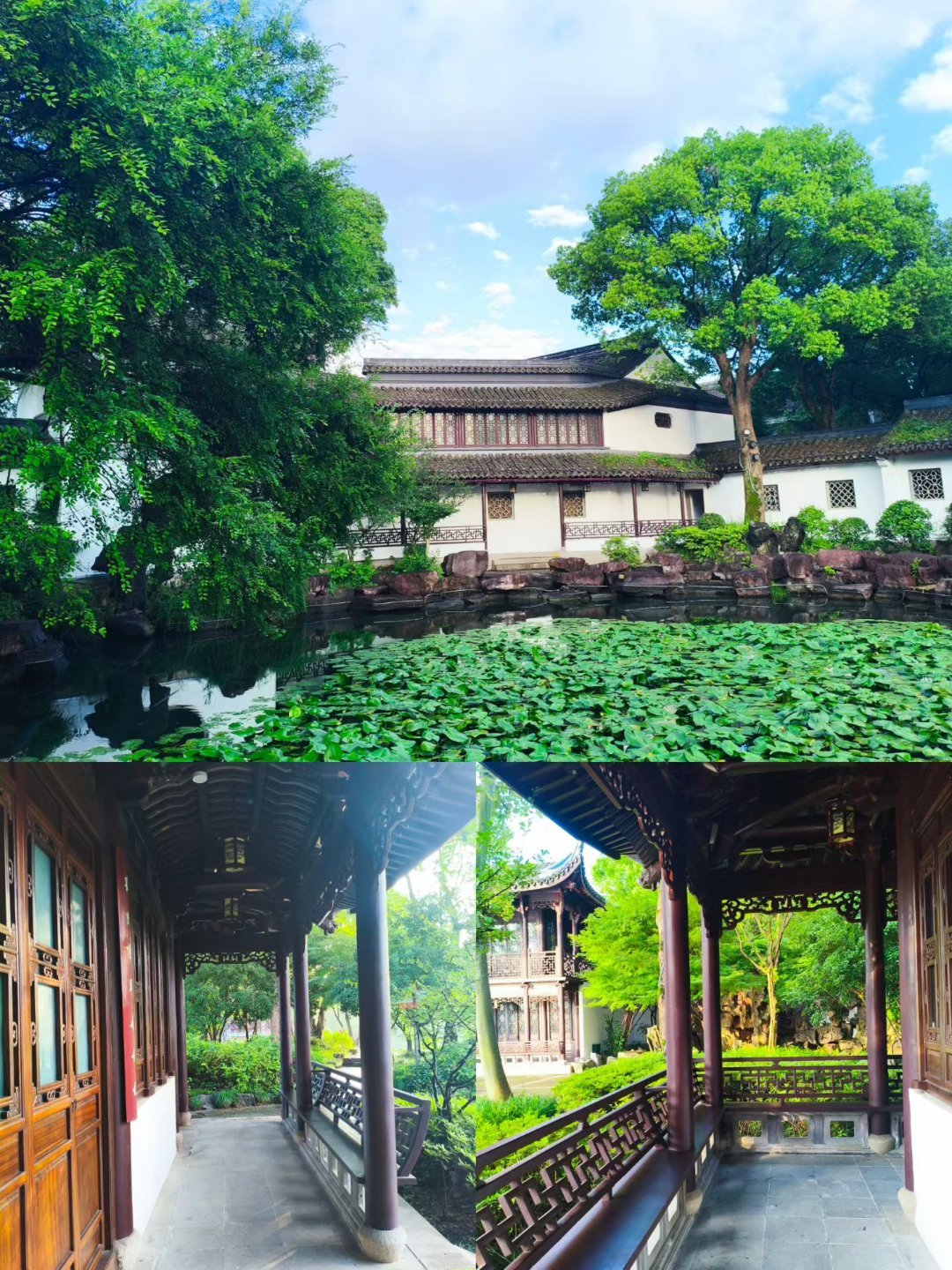 “热烈的不是青春，是我们。” 