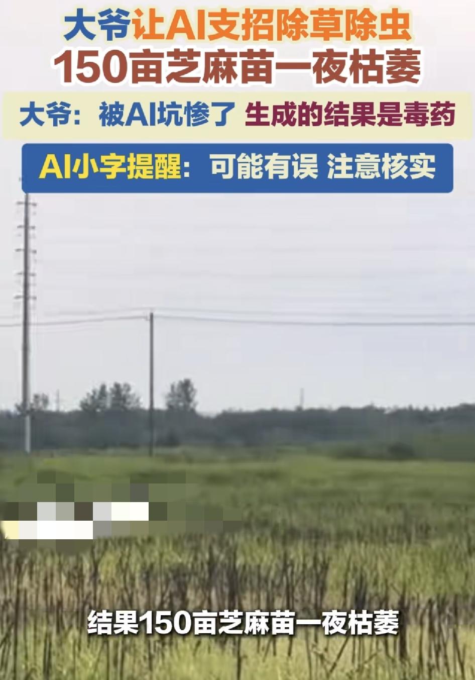 安徽67岁大爷通过询问ai软件，如何除草除虫，按照其推荐的办法。却在第2天，草和