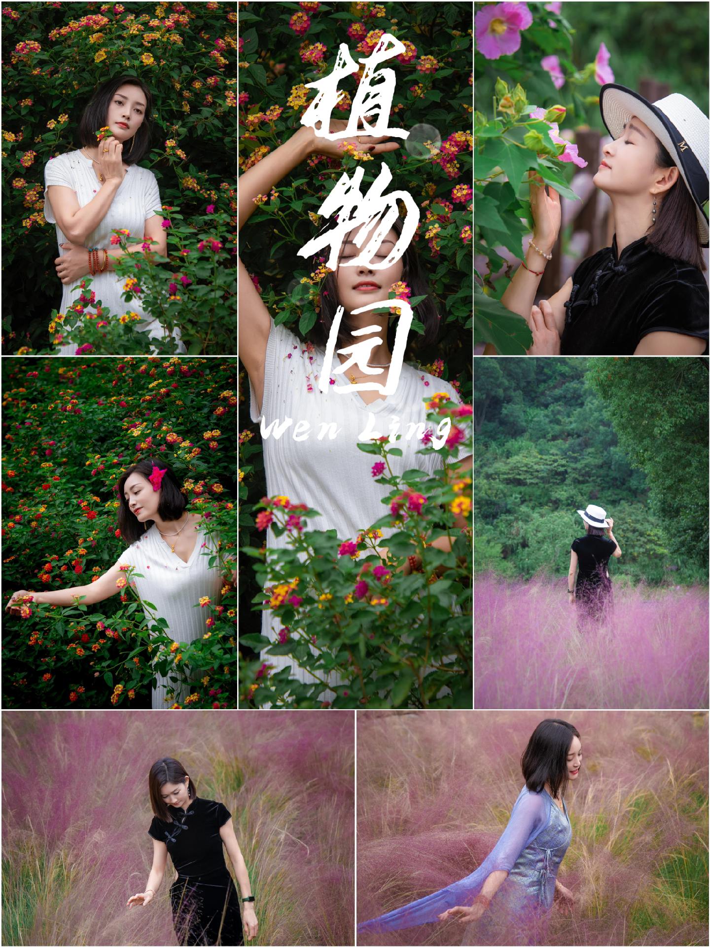 我好像去晚了，“温岭植物园”朋友说温岭植物园的粉黛很美，让我给她们拍。...
