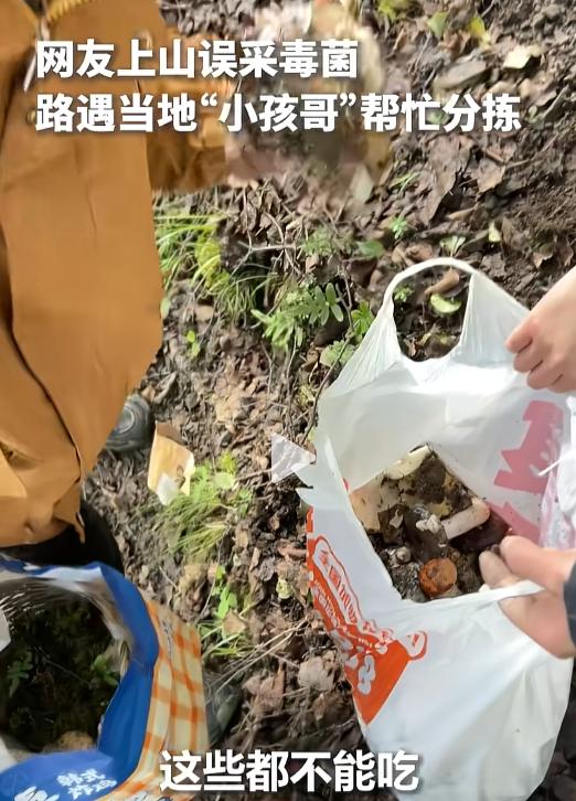 7月19日，四川甘孜康定甲根坝镇，游客采了十多斤野生菌，AI说有的能吃，当地小孩