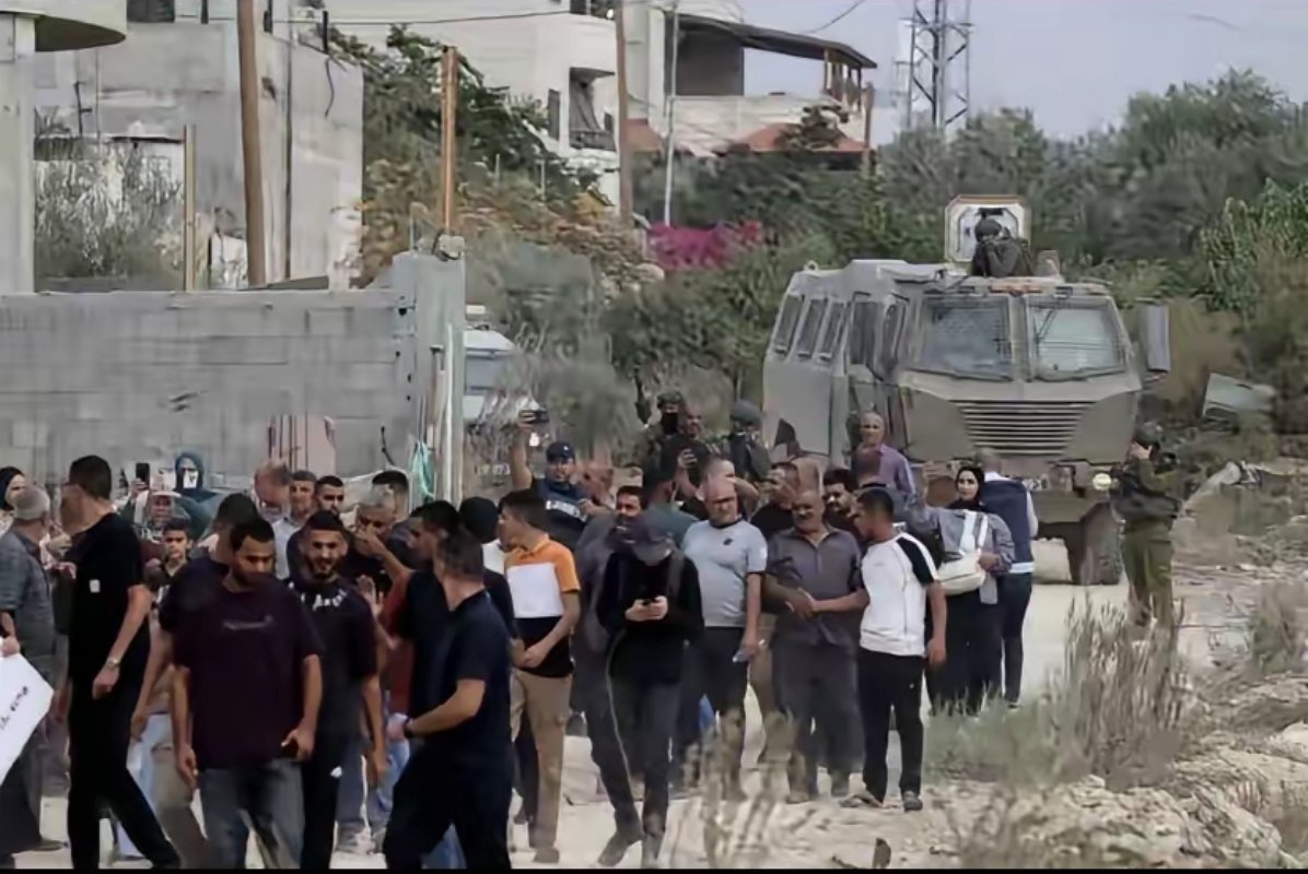 《高墙之后的又一场种族灭绝》的报告，重磅揭露以色列利用驯化犬只对在押巴勒斯坦人实