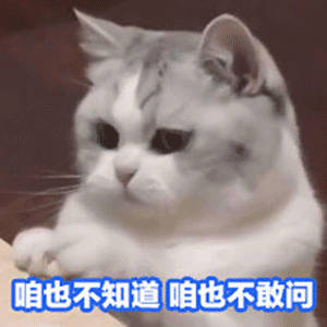 四大一线城市房价全涨新房，标价和真实卖价有价差么？似乎，好像，我不知道。我就知道