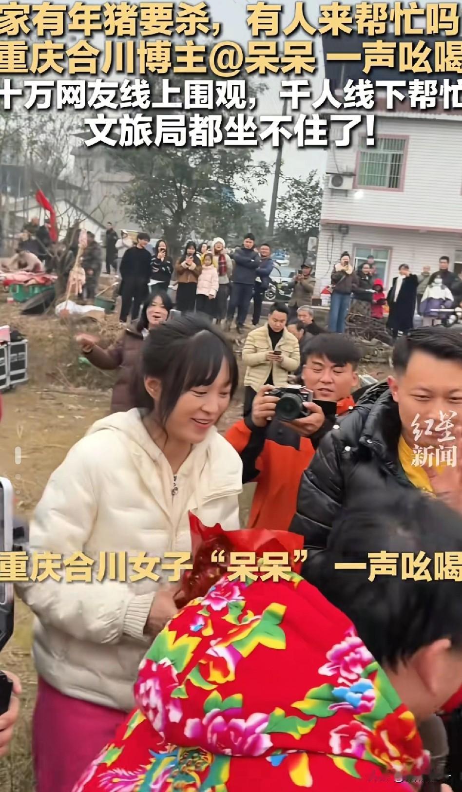 千名网友赶来帮忙杀年猪！
第一次看见这么大场面的杀年猪，堪比过年呀！严重怀疑都是