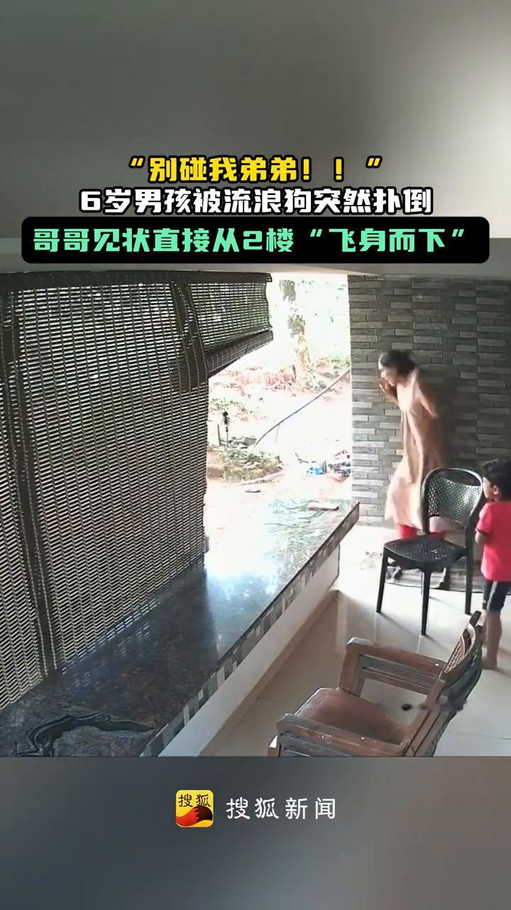 "别碰我弟弟！"6岁男孩被流浪狗突然扑倒，哥哥见状直接从2楼"飞身而下"。
搜狐