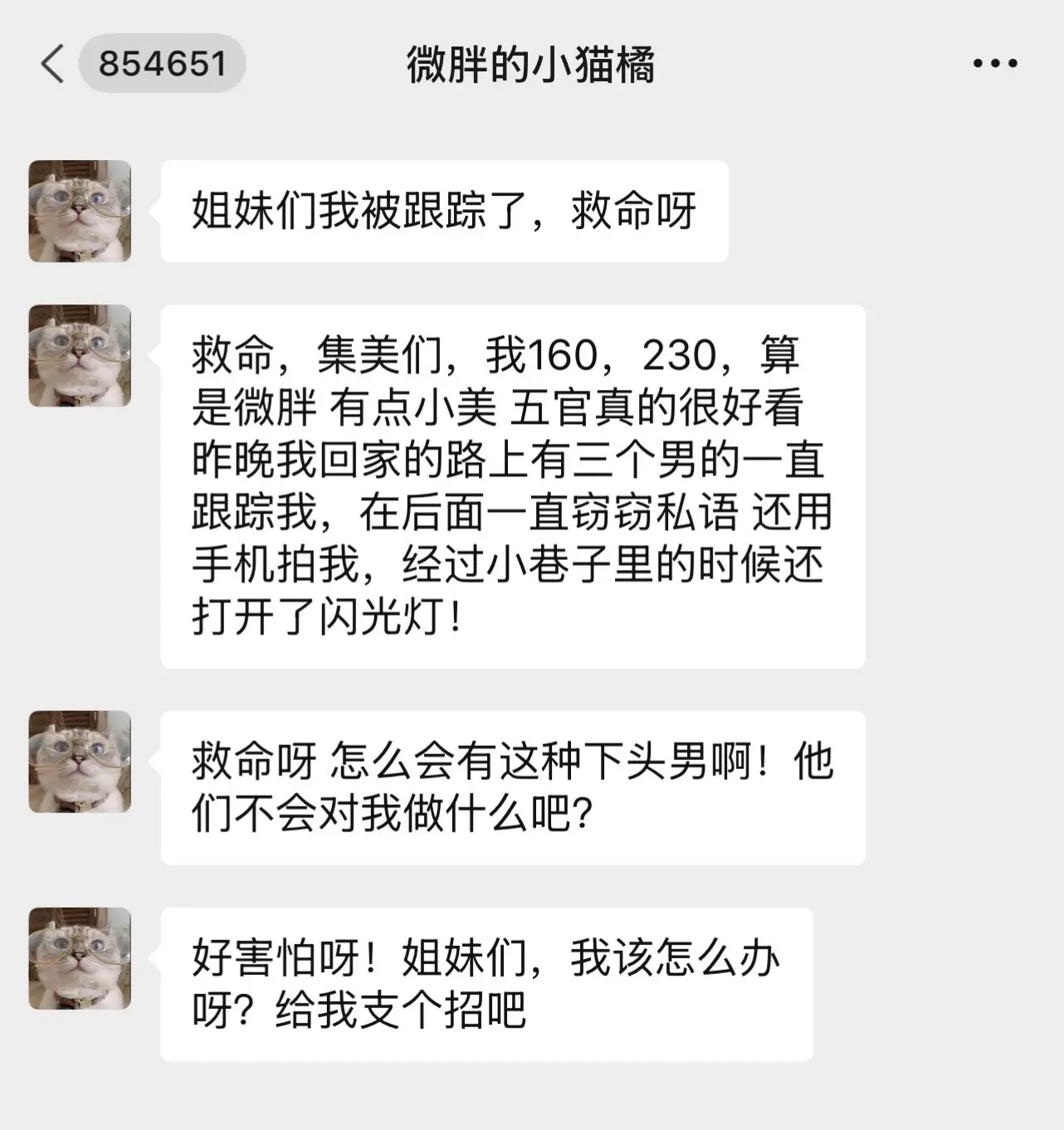 前方突现卡比兽